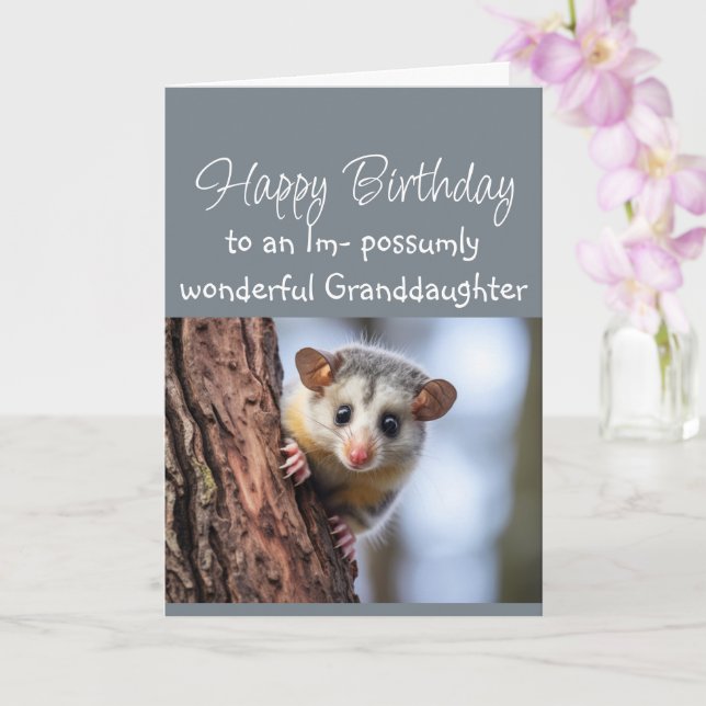 Happy Birthday Wonderful  Granddaughter Opposum  Card (Orchid)