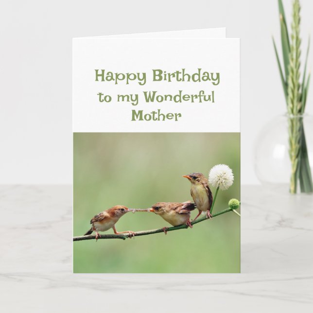  Happy Birthday Wonderful Mum Fun Birds Card (Front)