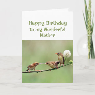 Happy Birthday Wonderful Mum Fun Birds Card