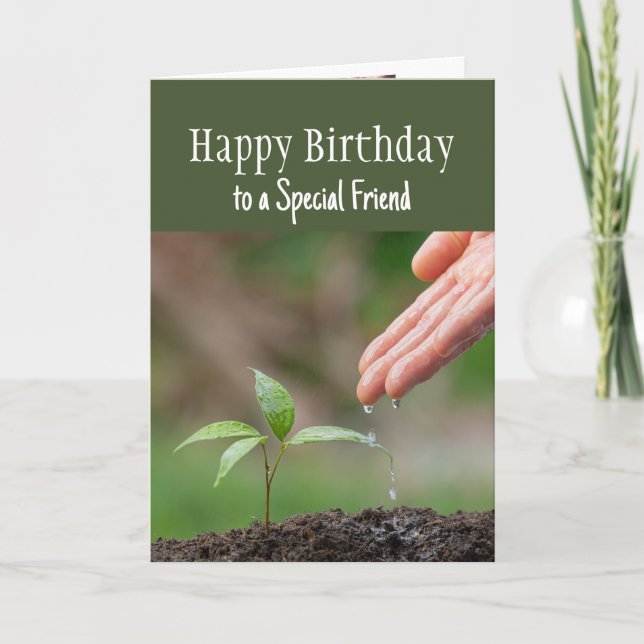 Happy Birthday Wonderful Special Friend Card (Front)