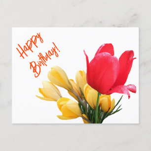 Happy Birthday yellow crocus red tulip floral love Holiday Postcard