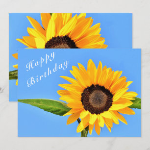 Happy Birthday - Yellow Sunflower on Blue Sky  Card