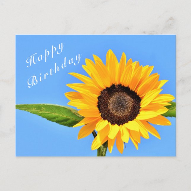 Happy Birthday - Yellow Sunflower on Blue Sky Postcard (Front)