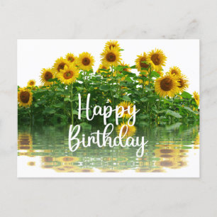 Happy Birthday Yellow Sunflowers  Postcard