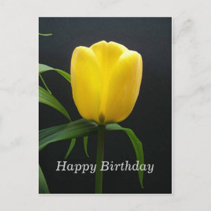 happy birthday yellow tulip flower postcard