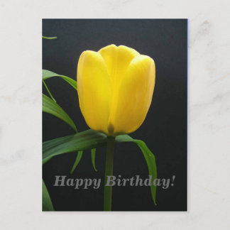 happy birthday yellow tulip flower postcard