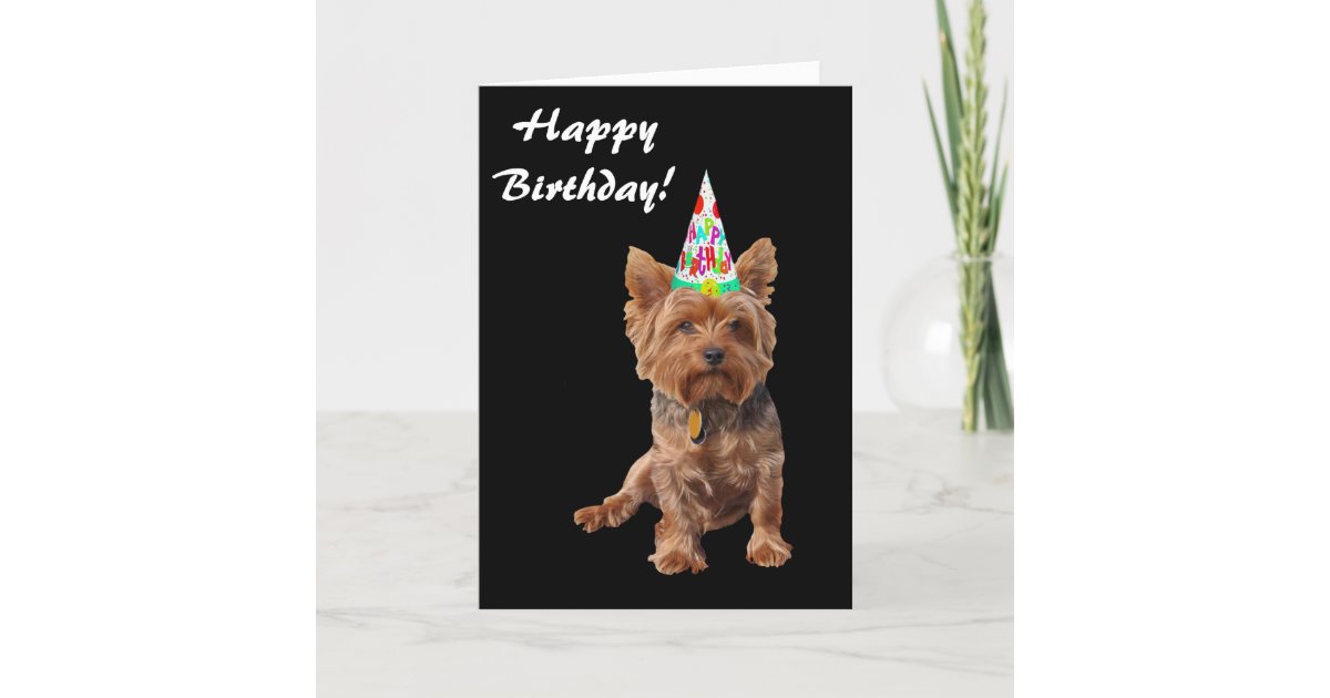 Happy Birthday Yorkshire Terrier Birthday Card | Zazzle.co.uk