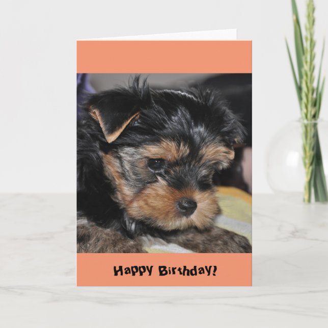Happy Birthday! Yorkshire Terrier Greeting Card (Front)