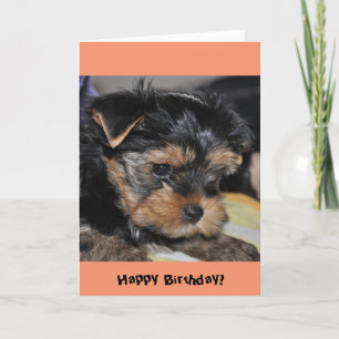Happy Birthday! Yorkshire Terrier Greeting Card