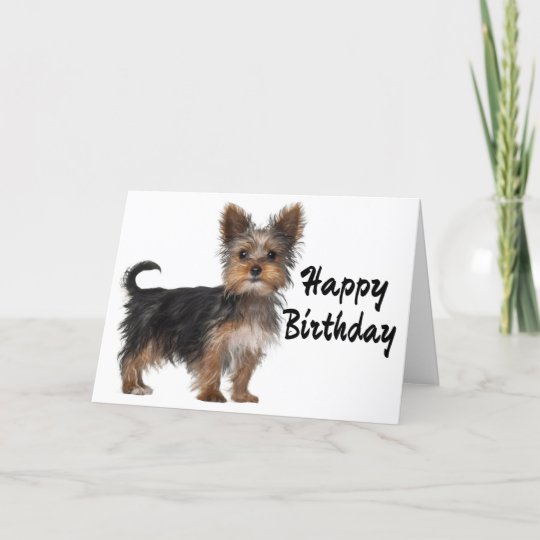 Yorkshire Terrier Cute Yorkie Dog Birthday Greetings Note Card