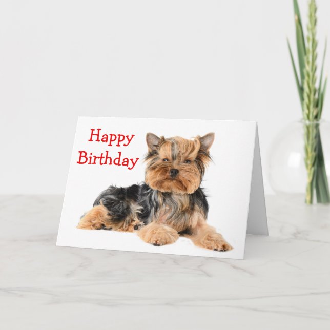 Happy Birthday Yorkshire Terrier Puppy Dog Red Card (Front)