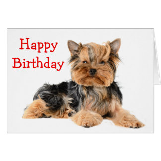 Happy Birthday Yorkie Dog Cards & Invitations | Zazzle.co.uk