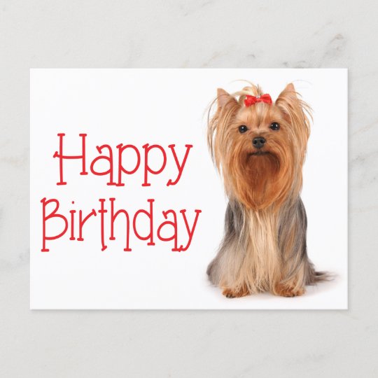 Happy Birthday Yorkshire Terrier Puppy Postcard Zazzle Co Uk