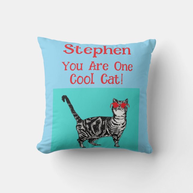 Happy Birthday You Cool Tabby Cat Mens Husband Cushion (Front)
