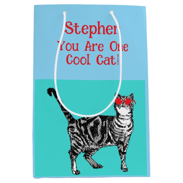 Happy Birthday You Cool Tabby Cat Mens Husband Medium Gift Bag (Front)