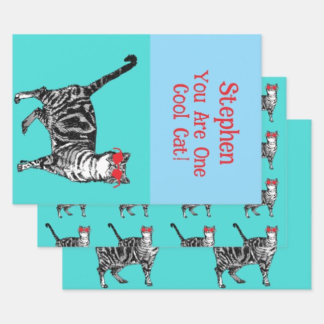 Happy Birthday You Cool Tabby Cat Mens Husband Wrapping Paper Sheet (Set)