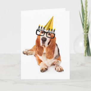 Happy Birthday You Old Dog Card
