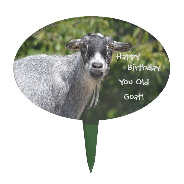 Happy Birthday You Old Goat Cake Topper (Front)