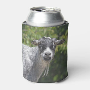 Happy Birthday You Old Goat Can Cooler