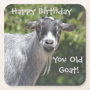 Happy Birthday You Old Goat Party Coasters