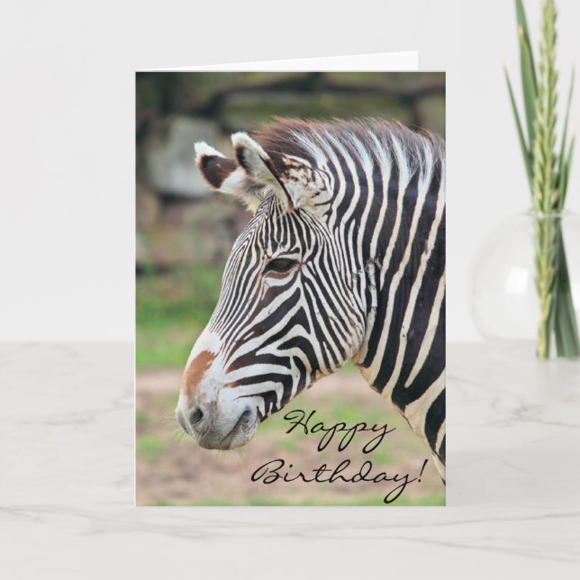 Happy Birthday Zebra animal Card (Front)