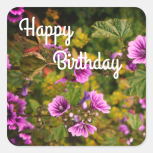 Happy BIrthday Zebra Hollyhock Flowers Stickers