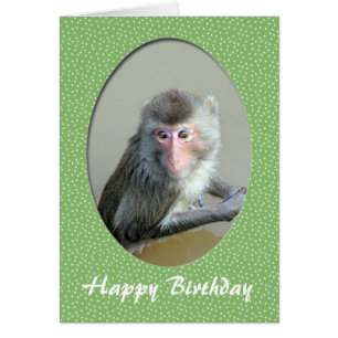 happy birthday zoo animal card