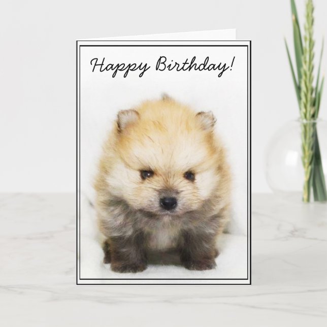 Happy Bithday Pomeranian puppy greeting card (Front)