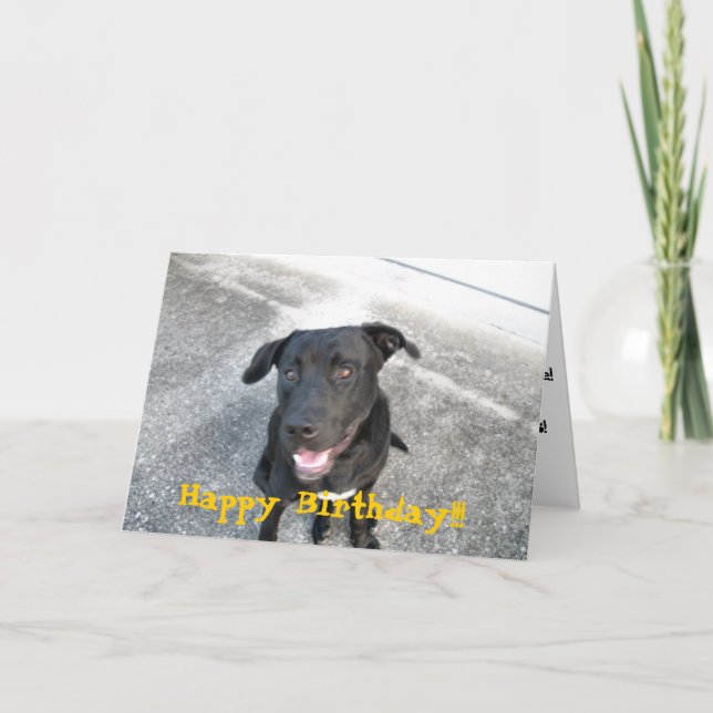 Happy Black Labrador Card (Front)