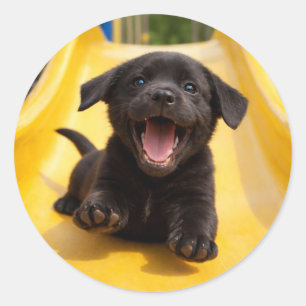 Happy Black Labrador Puppy Slides Down Yellow Slid Classic Round Sticker