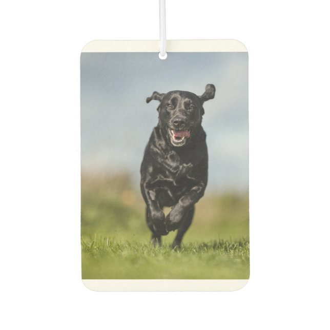 Happy Black Labrador Retriever Running Air Freshen Car Air Freshener (Front)