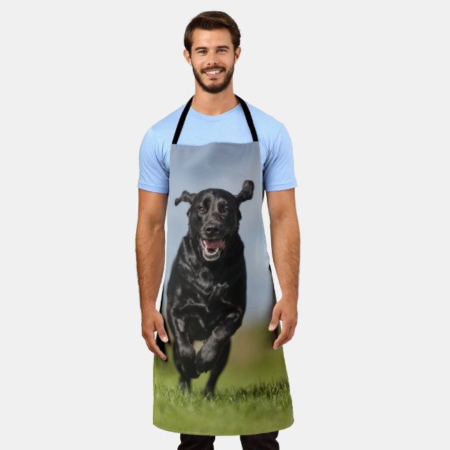 Happy Black Labrador Retriever Running Apron (Worn)