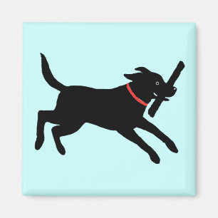 Happy Black Labrador Retriever Running Black Lab Magnet