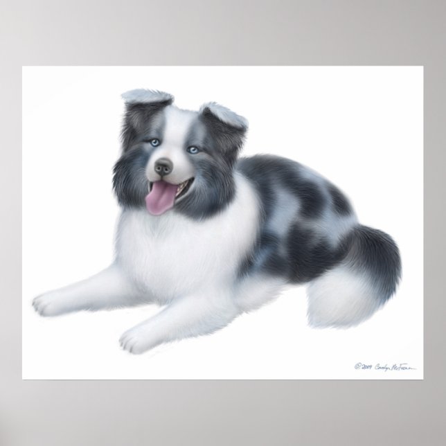 Happy Blue Merle Border Collie Dog Print (Front)