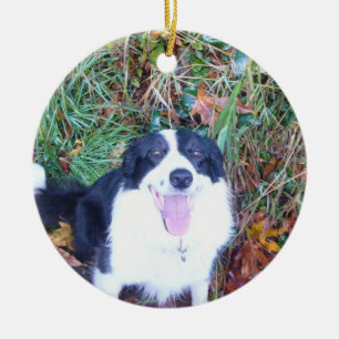 Happy Border Collie Ceramic Tree Decoration