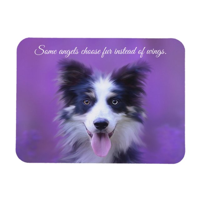 Happy Border Collie Dog, Angel with Fur Magnet (Horizontal)