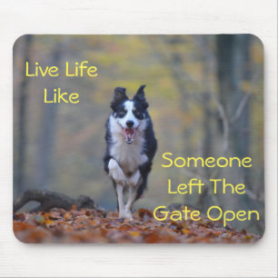 Happy Border Collie dog running and playing Mouse Mat
