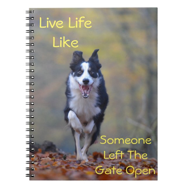 Happy Border Collie dog running and playing Notebook (Front)