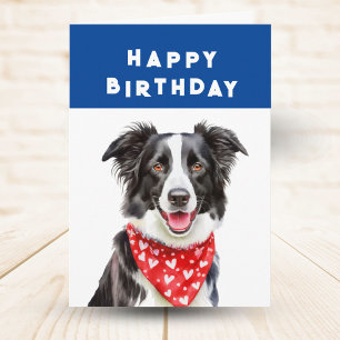 Happy Border Collie Red Heart Bandanna Birthday Card
