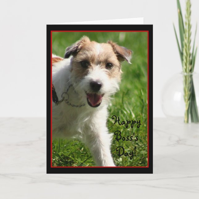 Happy Boss's Day Jack Russell Terrier card (Front)