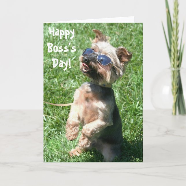 Happy Boss's Day yorkshire terrier greeting card (Front)
