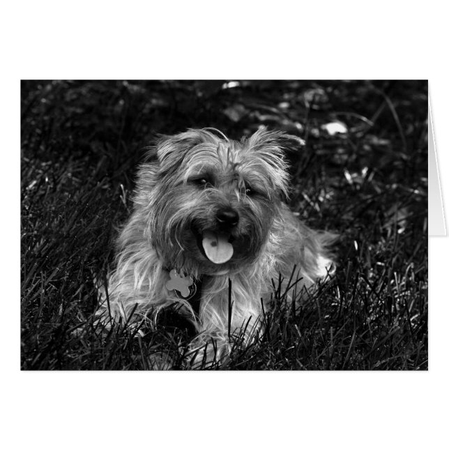 Happy Boy Card (Front Horizontal)