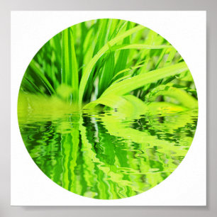 Happy Bright Green Grass Reflection Nature Poster