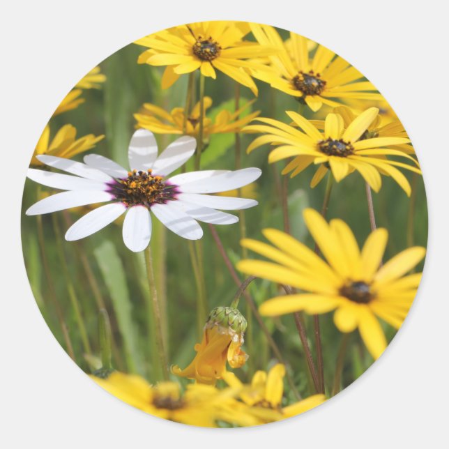 Happy Bright Yellow Flowers Wedding Favour Sticker (Front)