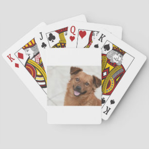 Happy Brown Puppy Dog Playing Cards