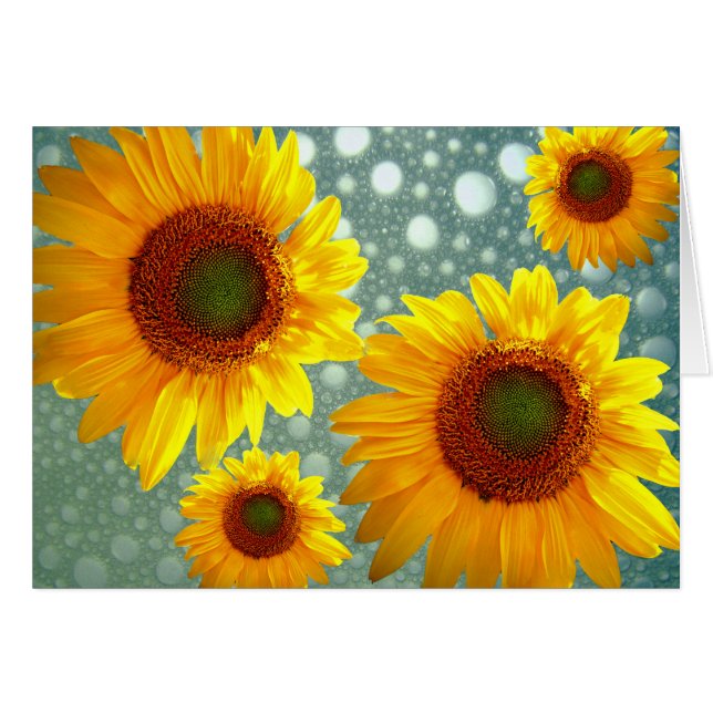 Happy Bubbly Sunflowers (Front Horizontal)