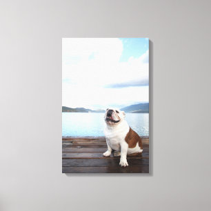 happy bull dog sitting on deck near lake canvas print