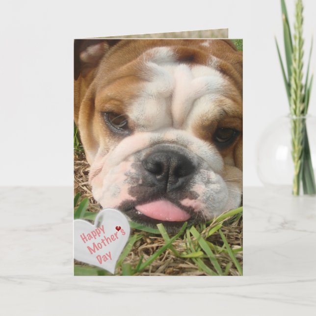 happy bulldog mother's day card (Front)