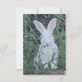 Happy Bunny Thank You Card