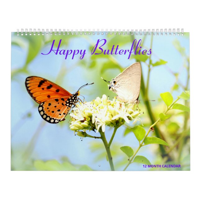 Happy Butterflies Calendar (Cover)